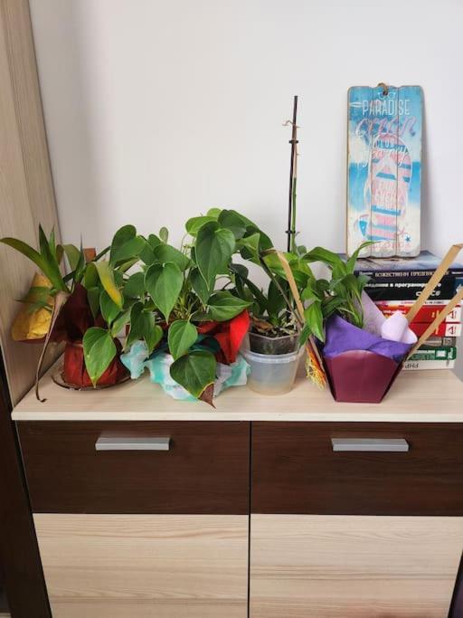 Modern Apartment. Best Location София Экстерьер фото